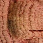 Ako rýchlo rozmraziť mleté mäso bez mikrovlnnej rúry: 3 bezpečné spôsoby pre dokonalé výsledky ako-rychlo-rozmrazit-mlete-maso-bez-mikrovlnnej-rury-3-bezpecne.jpg