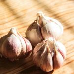 Prečo cesnak klíči v chladničke: ako vlhkosť spúšťa nezvratné procesy preco-cesnak-klici-v-chladnicke-ako-vlhkost-spusta-nezvratne-procesy.jpg